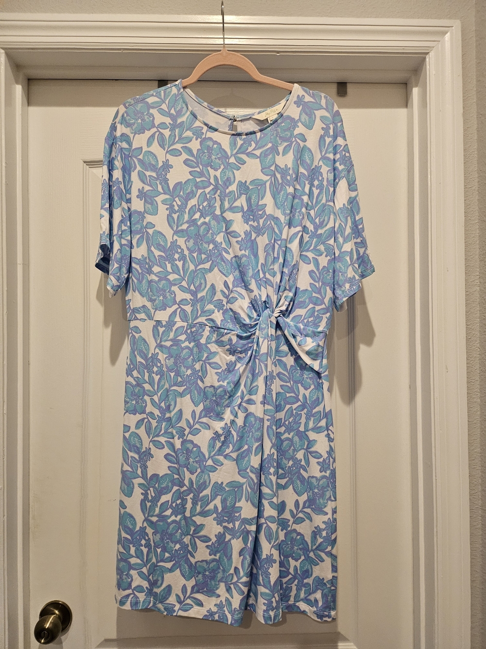 Lilly Pulitzer NWOT Shaw Dress in "Jacaranda Blue Simply The Zest" - Size Large